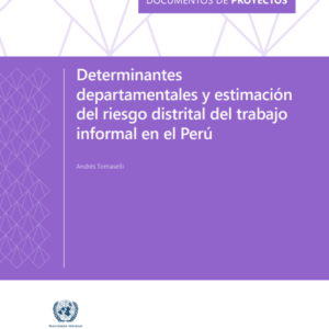 Determinantes departamentales y estimación del riesgo distrital del trabajo informal en el Perú