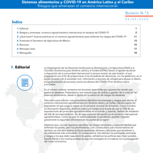 Sistemas alimentarios y COVID-19 en América Latina y el Caribe N° 3: riesgos que amenazan el comercio internacional