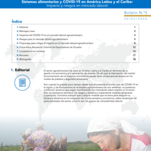 Sistemas alimentarios y COVID-19 en América Latina y el Caribe N° 5: impacto y riesgos en mercado laboral