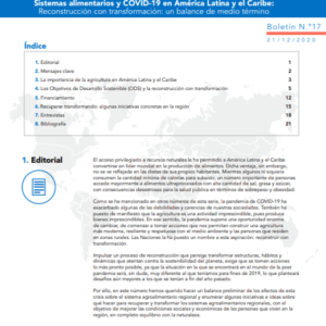 Sistemas alimentarios y COVID-19 en América Latina y el Caribe N° 17. Reconstrucción con transformación: un balance de medio término