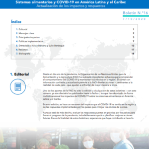 Sistemas alimentarios y COVID-19 en América Latina y el Caribe N° 16: actualización de los impactos y respuestas