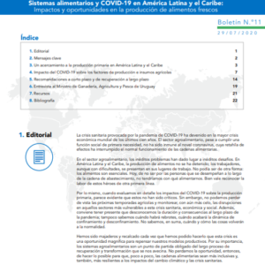 Sistemas alimentarios y COVID-19 en América Latina y el Caribe N° 11: impactos y oportunidades en la producción de alimentos frescos