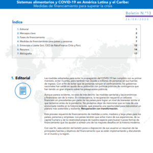 Sistemas alimentarios y COVID-19 en América Latina y el Caribe N° 13: medidas de financiamiento para superar la crisis.
