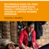 Recomendaciones del foro permanente sobre salud sexual y reproductiva y la violencia contra mujeres indígenas.