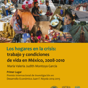 Los hogares en la crisis: trabajo y condiciones de vida en México, 2008-2010