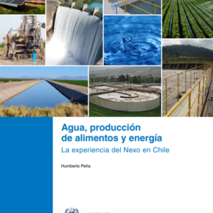 Agua, producción de alimentos y energía: la experiencia del Nexo en Chile.