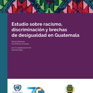 Estudio sobre racismo, discriminación y brechas de desigualdad en Guatemala.