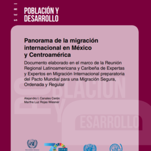 Panorama de la migración internacional en México y Centroamérica.