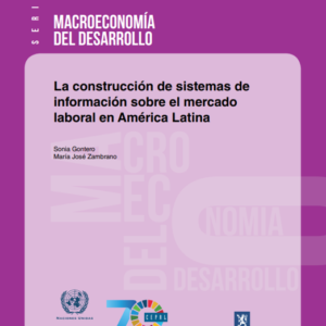 La construcción de sistemas de información sobre el mercado laboral en América Latina.