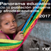 Panorama educativo de la población indígena y afrodescendiente. 2017